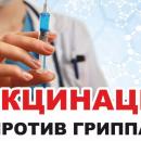 Вакцинопрофилактика гриппа