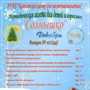 Выпуск № 12 (134) Газета “Солнышко” декабрь 2022