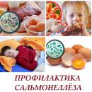 Профилактики сальмонеллеза