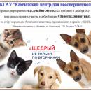 #ЗаботаОживотных