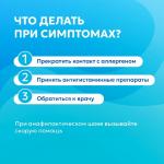 Фотодокумент 9713
