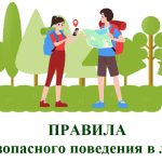Правила безопасного поведения в лесу