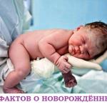 9 ФАКТОВ О НОВОРОЖДЁННЫХ