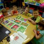 Польза овощей