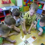 Фотодокумент 10312