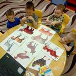 Домашние животные