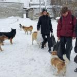 Фотодокумент 10396 Фотодокумент 10396