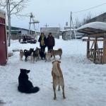 Фотодокумент 10395 Фотодокумент 10395