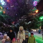 Открытие новогодней ёлки