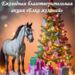 Ежегодная благотворительная акция «Елка желаний 2025»