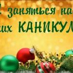 Чем заняться на зимних каникулах?