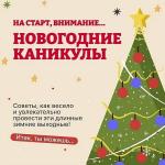 Новогодние каникулы