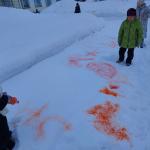 Фотодокумент 10486