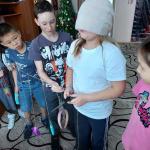 Краски зимы