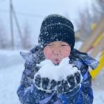 Фотодокумент 10526