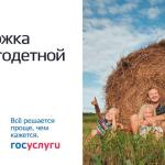 В Камчатском крае  действует широкий спектр мер социальной поддержки для многодетных семей