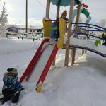 Фотодокумент 10561