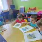 Как зимуют звери в лесу