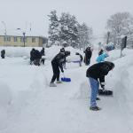 Фотодокумент 10584