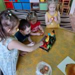 Веселый огород