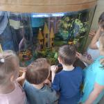 Такие разные рыбы