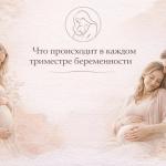 Что происходит в каждом триместре беременности