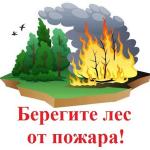 Сохраним лес от пожара