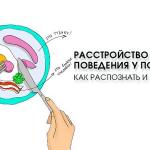РПП (расстройство пищевого поведения) у подростков, как распознать и что делать?