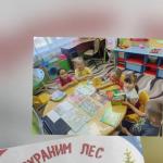 Как спасти лес от огня