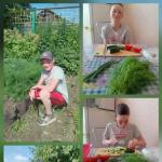 Кулинарное занятие «Овощной салат»