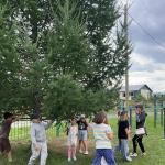 15 день – Август – Звёзды над морем