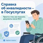 Справка об инвалидности — в Госуслугах