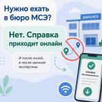 Фотодокумент 11160
