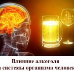 Влияние алкоголя на системы организма человека
